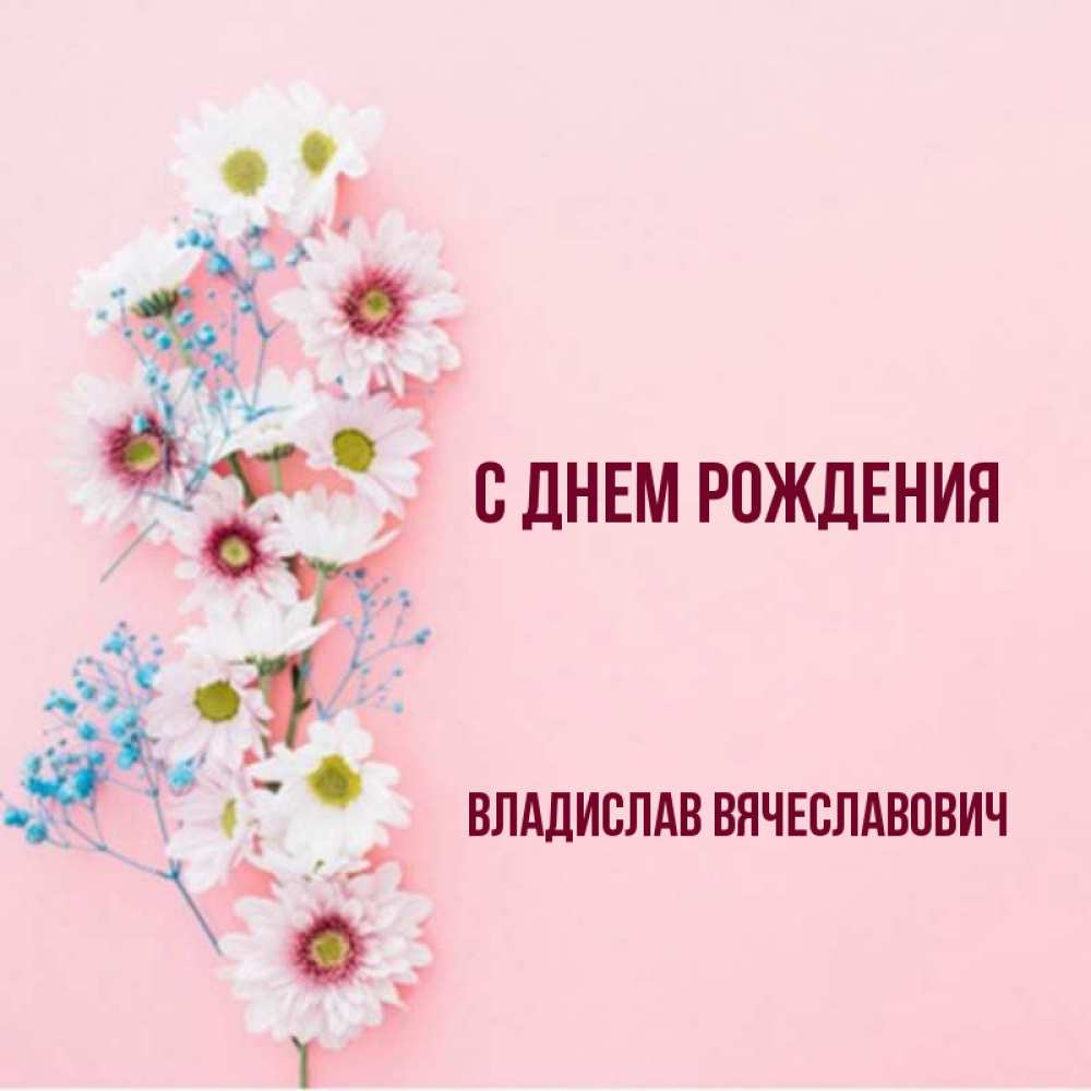 Открытка на каждый день с именем, Владислав-Вячеславович С днем рождения Родная моя с днем рождения тебя картинка с цветами белыми и голубыми Прикольная открытка с пожеланием онлайн скачать бесплатно 