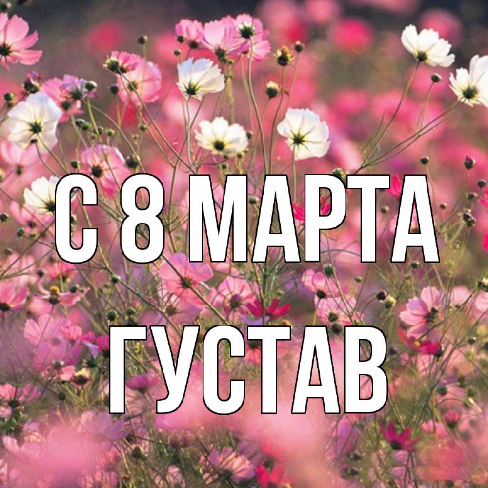 Открытка на каждый день с именем, Густав С 8 МАРТА красиво 1 Прикольная открытка с пожеланием онлайн скачать бесплатно 