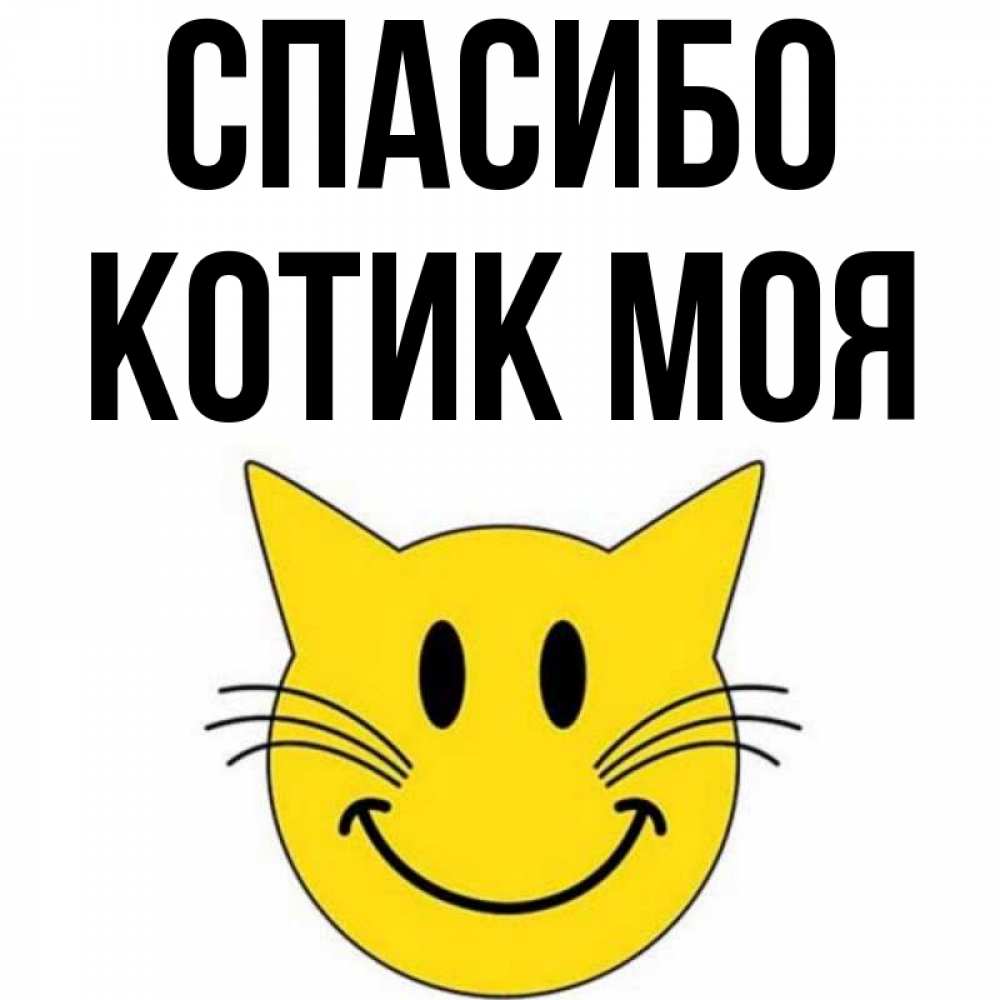 Спасибо Мой Котик