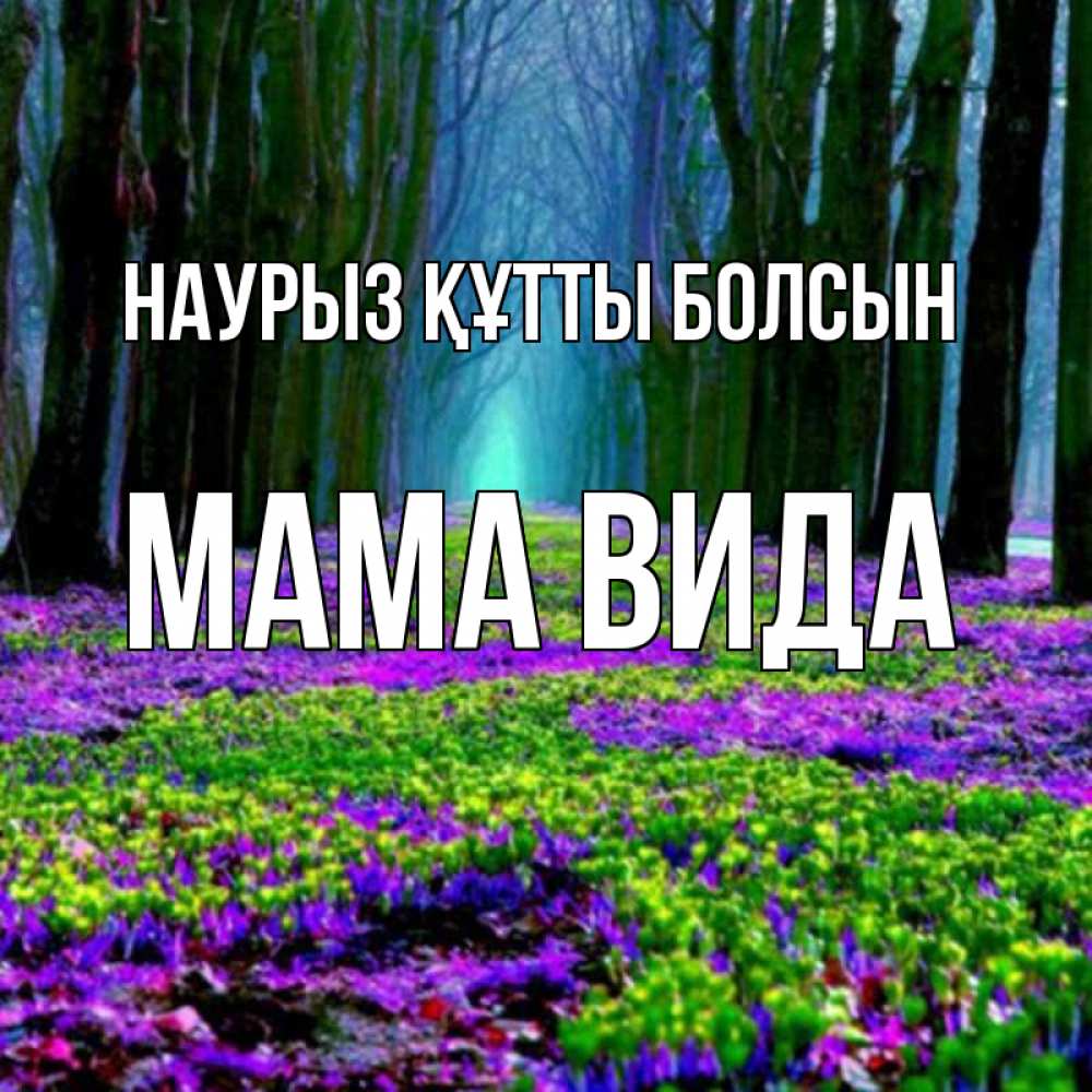 Открытка на каждый день с именем, Мама-Вида Наурыз құтты болсын фиолетовые цветы в лесу 1 Прикольная открытка с пожеланием онлайн скачать бесплатно 