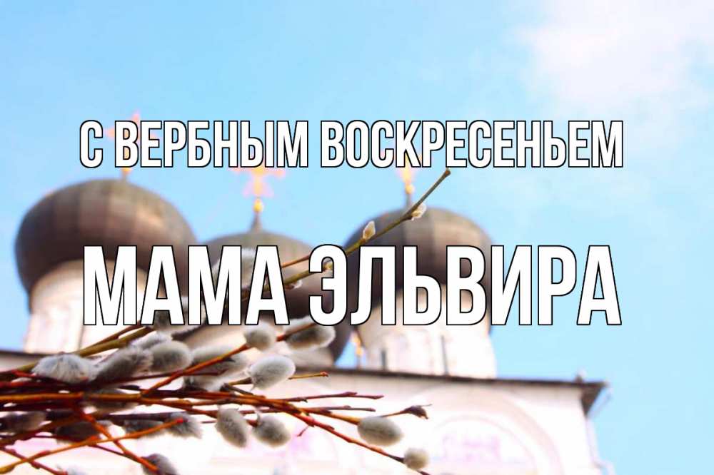 Открытка на каждый день с именем, Мама-Эльвира С вербным воскресеньем верба Прикольная открытка с пожеланием онлайн скачать бесплатно 