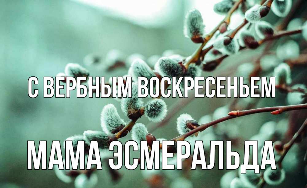 Открытка на каждый день с именем, Мама-Эсмеральда С вербным воскресеньем верба Прикольная открытка с пожеланием онлайн скачать бесплатно 
