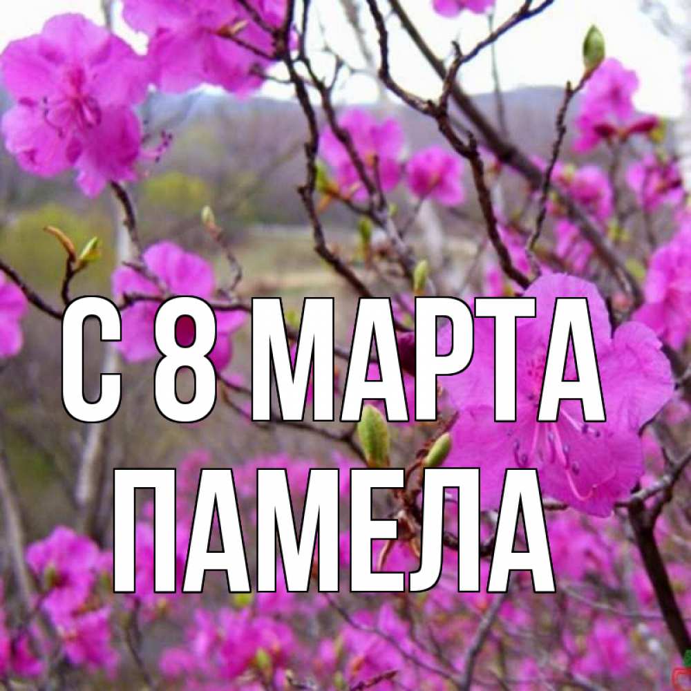 Открытка на каждый день с именем, Памела С 8 марта международный женский день Прикольная открытка с пожеланием онлайн скачать бесплатно 
