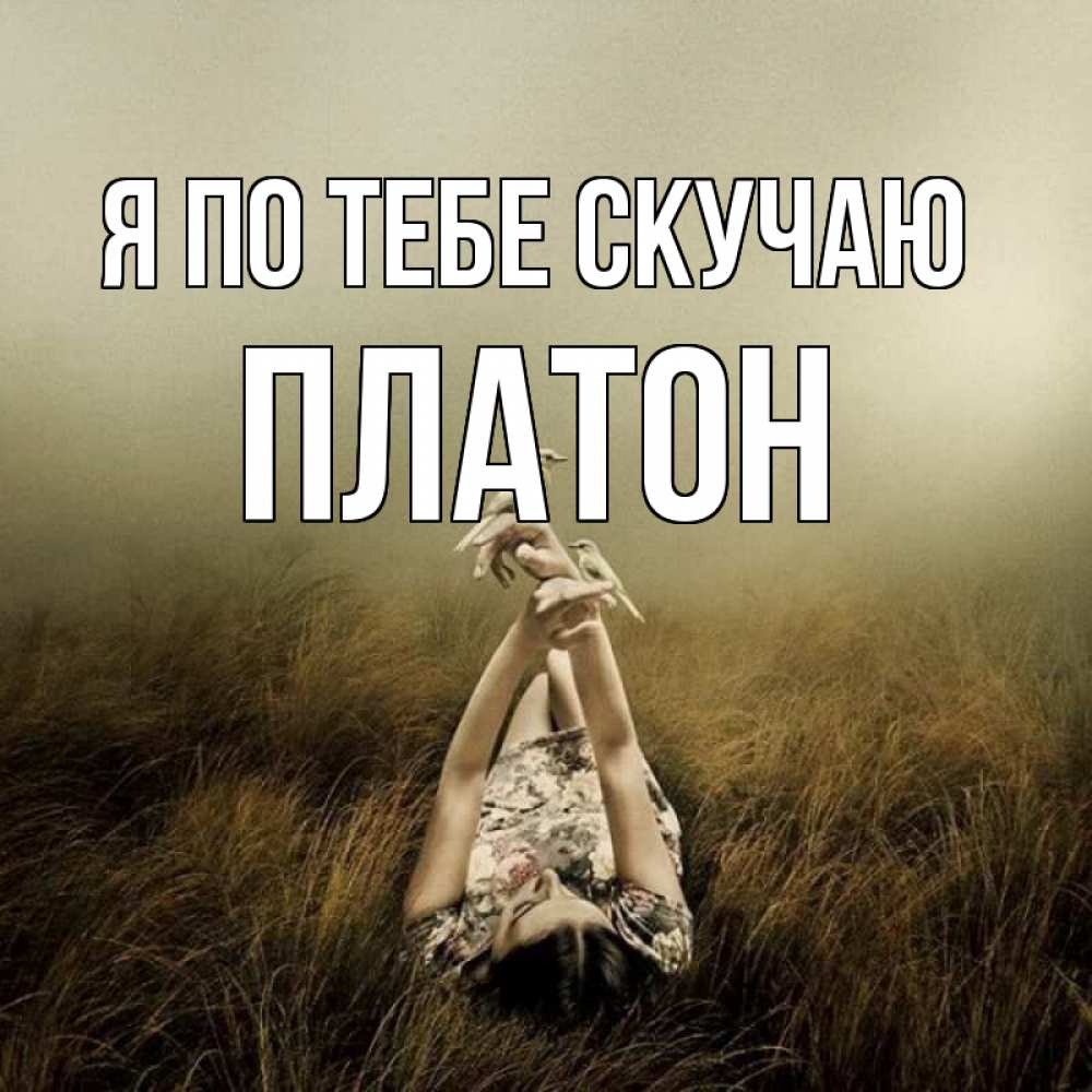 Открытка на каждый день с именем, Платон Я по тебе скучаю девушка с голубями Прикольная открытка с пожеланием онлайн скачать бесплатно 