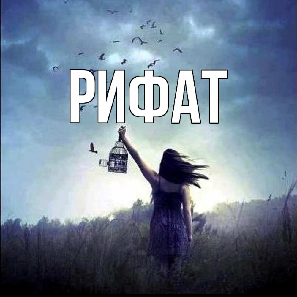 Открытка на каждый день с именем, Рифат Главная на волю Прикольная открытка с пожеланием онлайн скачать бесплатно 