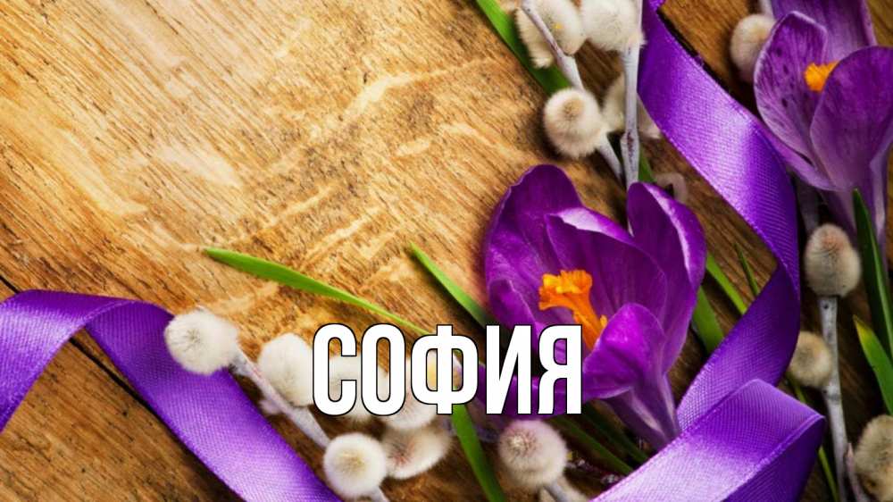 Открытка на каждый день с именем, София Главная верба, стол, цветы Прикольная открытка с пожеланием онлайн скачать бесплатно 