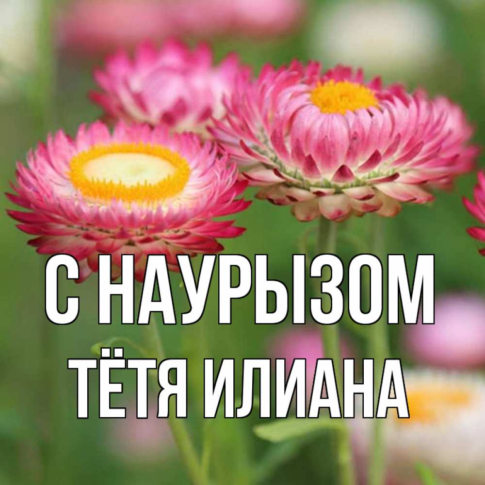 Открытка на каждый день с именем, Тётя-Илиана С наурызом подарок на международный женский день Прикольная открытка с пожеланием онлайн скачать бесплатно 