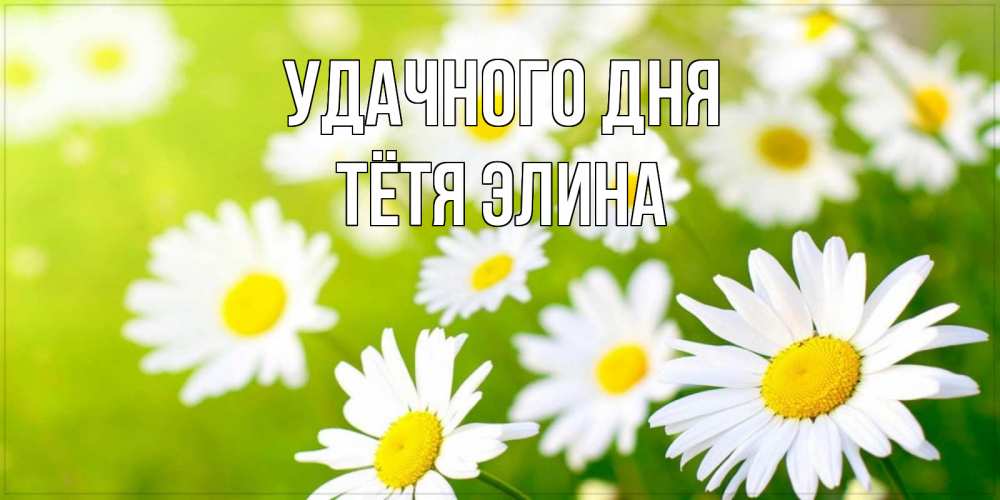 Открытка на каждый день с именем, Тётя-Элина Удачного дня открытка с ромашками на зеленом фоне Прикольная открытка с пожеланием онлайн скачать бесплатно 