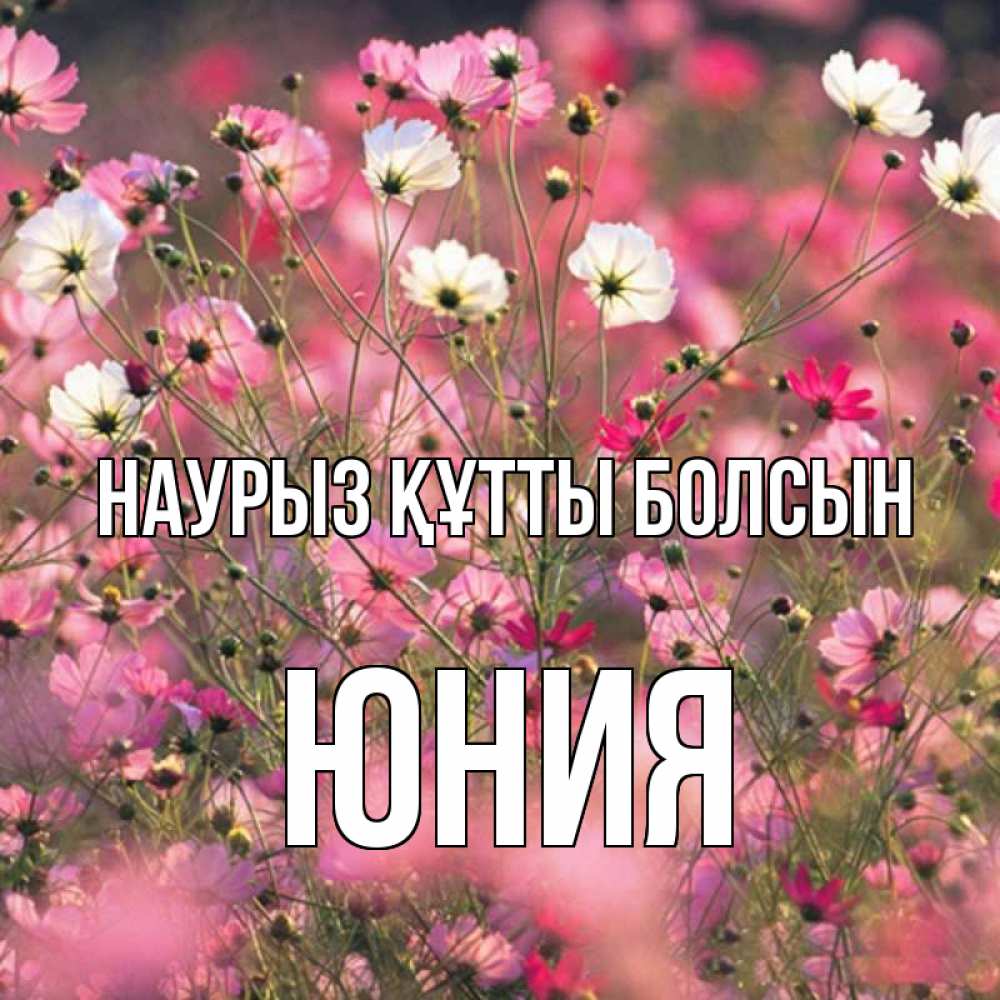 Открытка на каждый день с именем, Юния Наурыз құтты болсын красиво 1 Прикольная открытка с пожеланием онлайн скачать бесплатно 