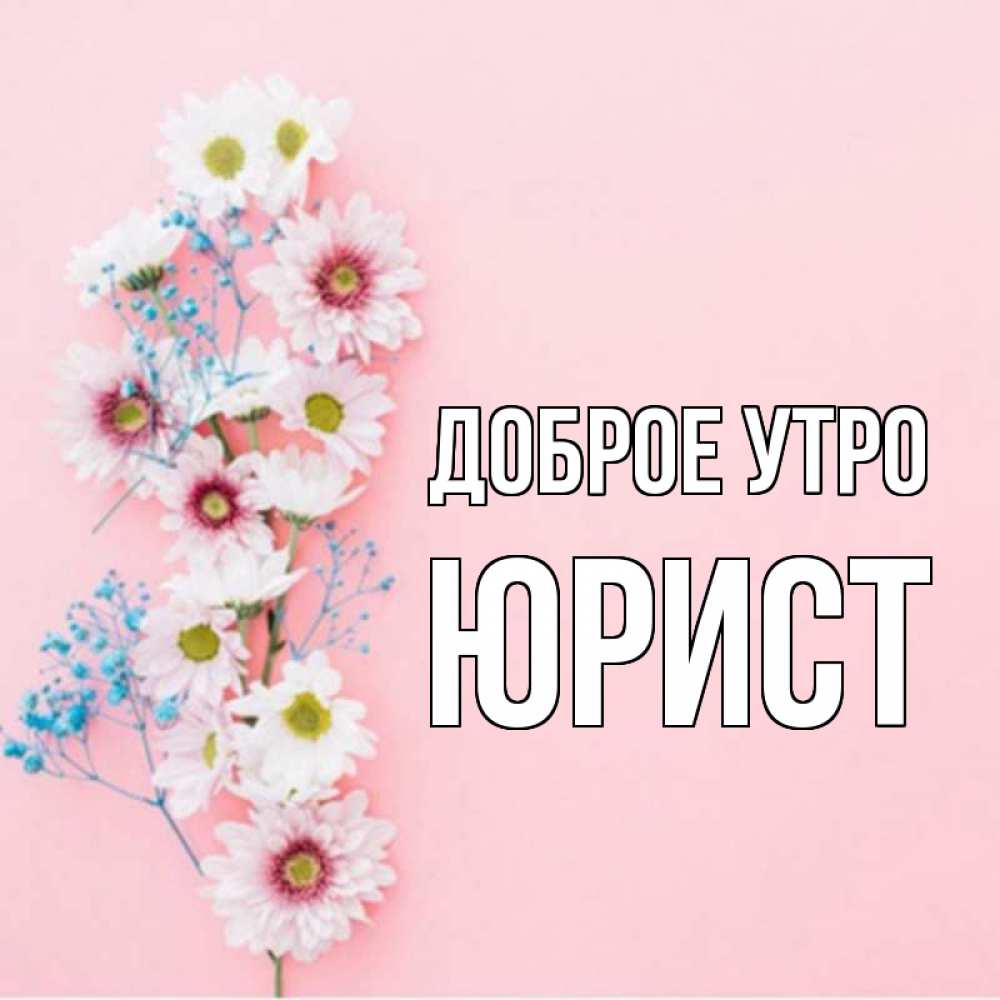 Открытка на каждый день с именем, Юрист Доброе утро цветы с подписью Прикольная открытка с пожеланием онлайн скачать бесплатно 