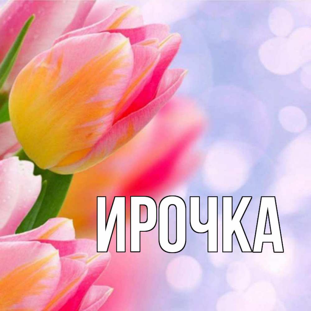 Открытка на каждый день с именем, ирочка Главная тюльпаны 2 Прикольная открытка с пожеланием онлайн скачать бесплатно 