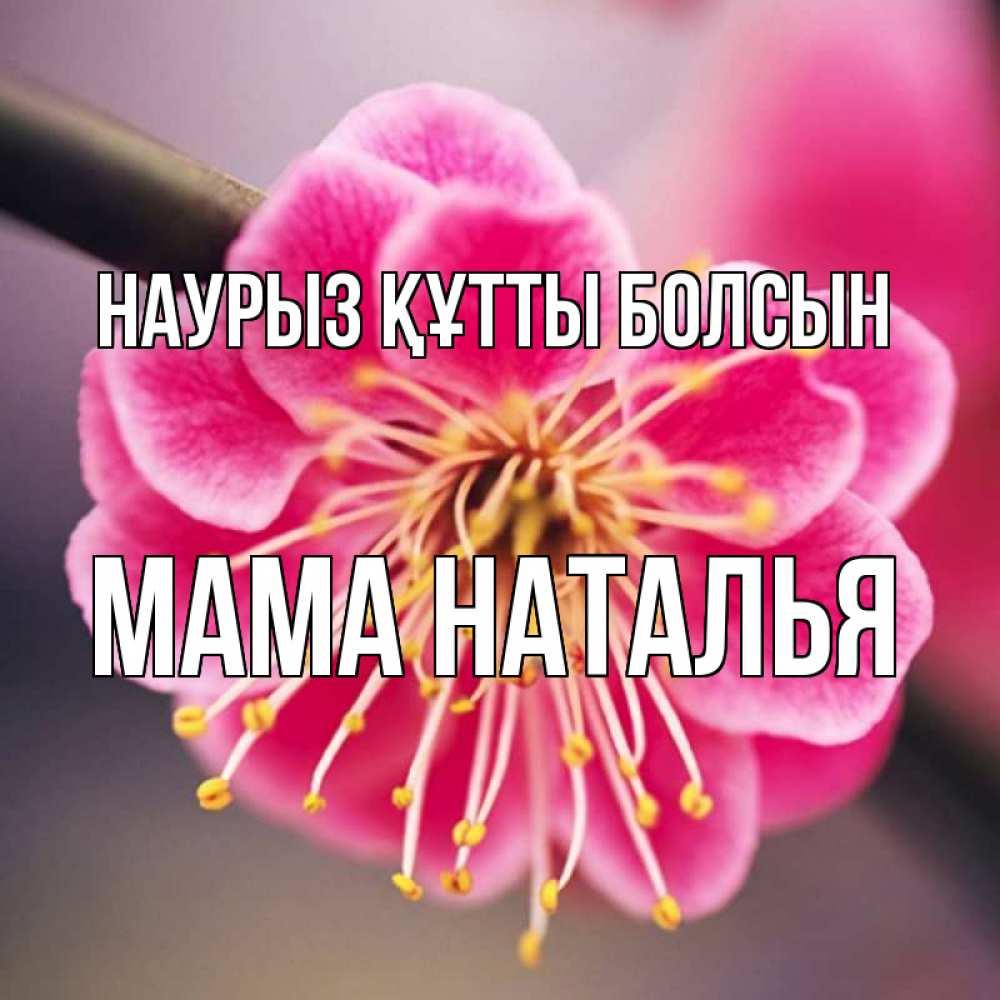 Открытка на каждый день с именем, Мама-Наталья Наурыз құтты болсын цветы Прикольная открытка с пожеланием онлайн скачать бесплатно 
