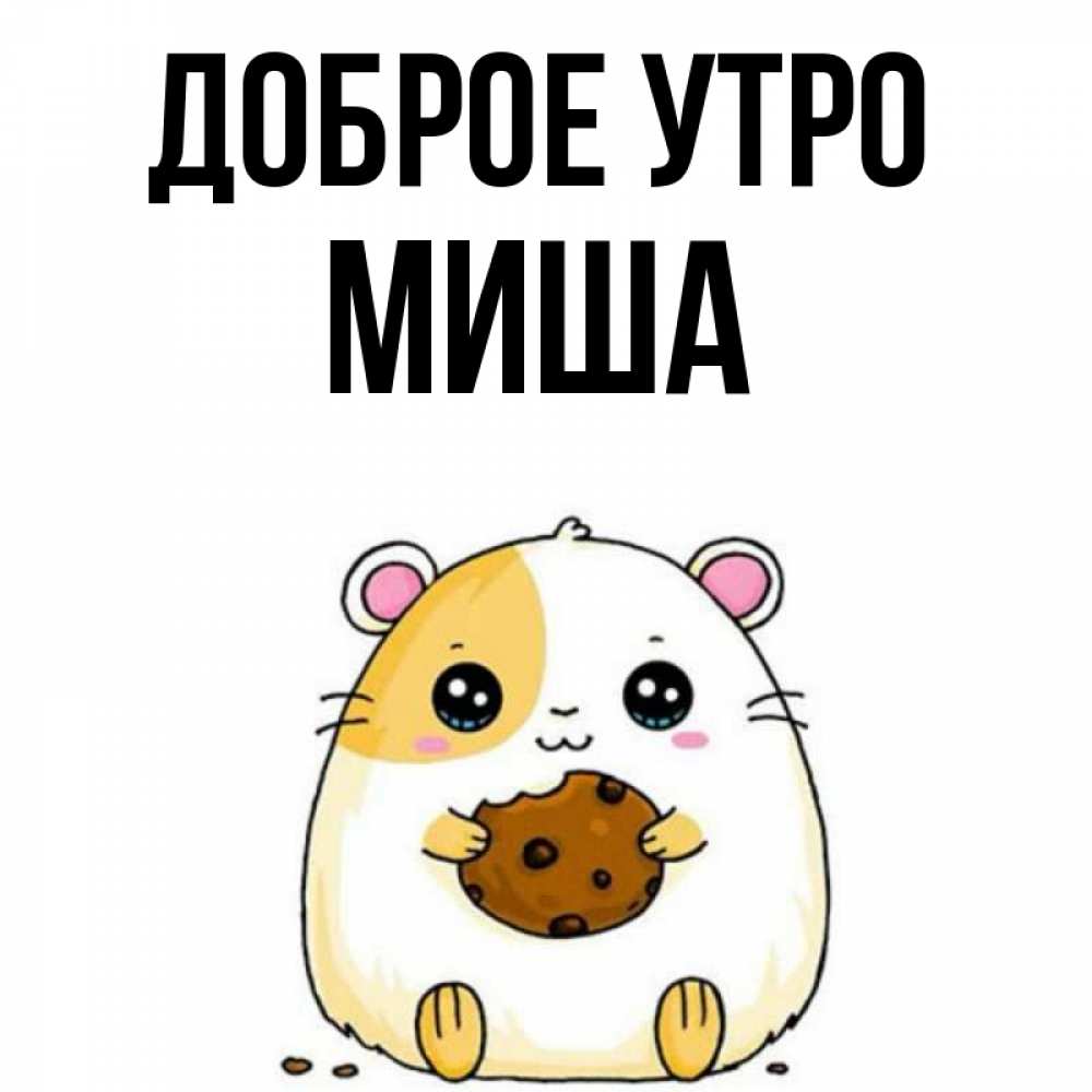 С Добрым Утром Миша