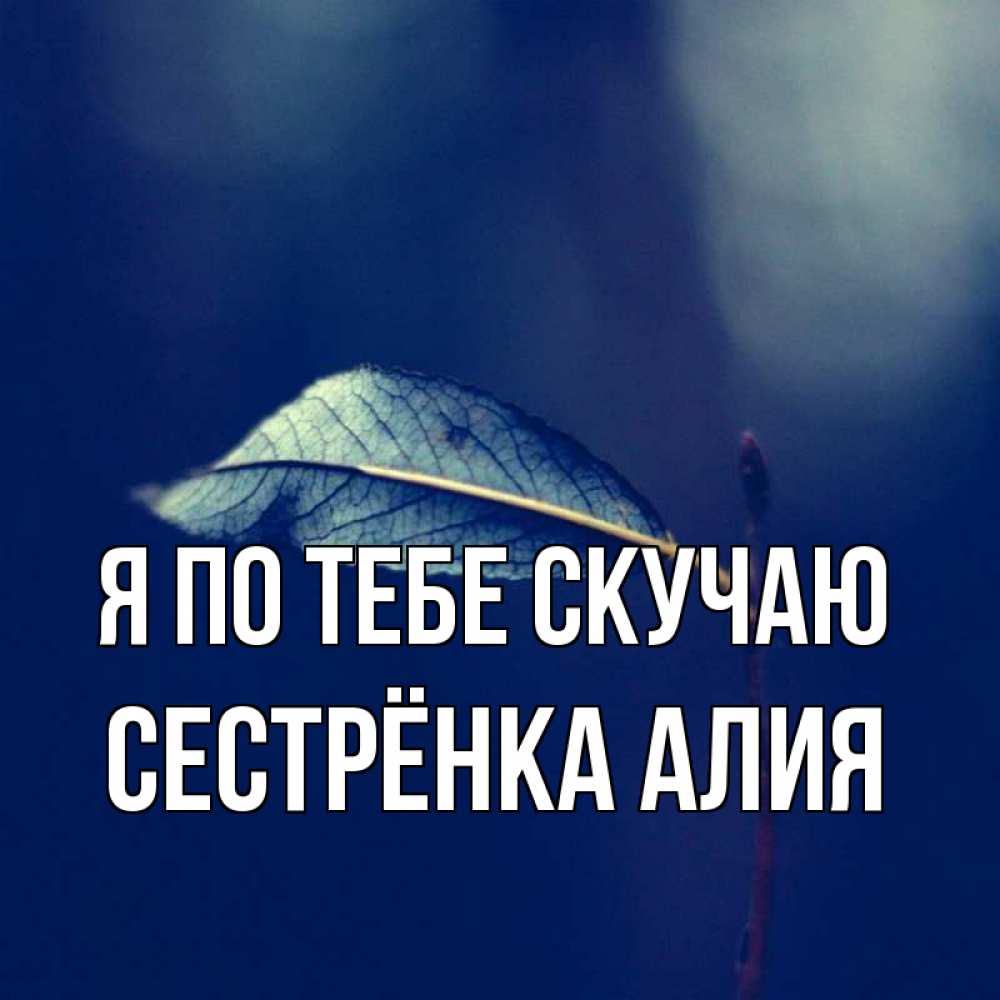 Открытка на каждый день с именем, Сестрёнка-Алия Я по тебе скучаю одна ветка 1 Прикольная открытка с пожеланием онлайн скачать бесплатно 