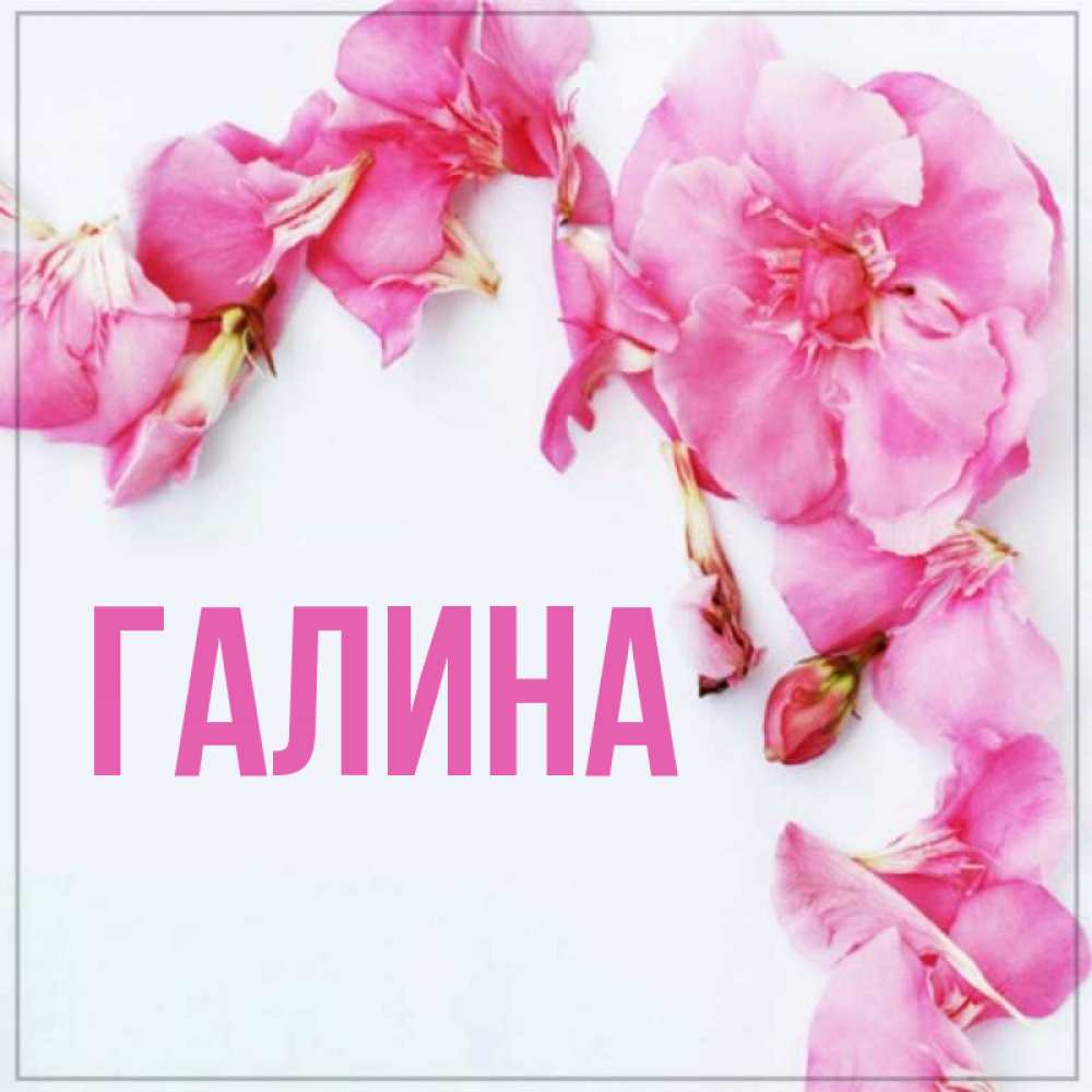 Картинка  с именем , Галина