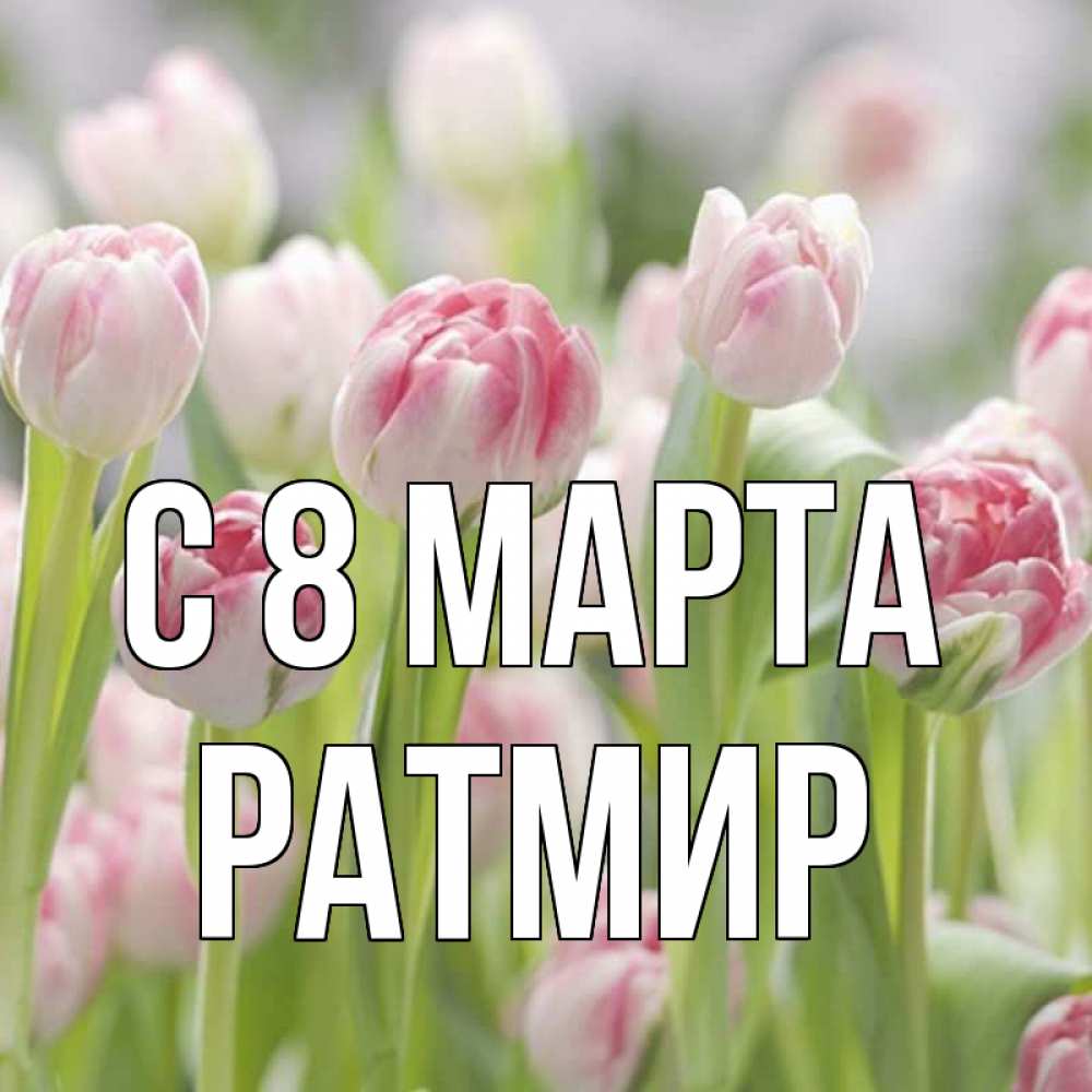 Открытка на каждый день с именем, Ратмир С 8 МАРТА цветы Прикольная открытка с пожеланием онлайн скачать бесплатно 