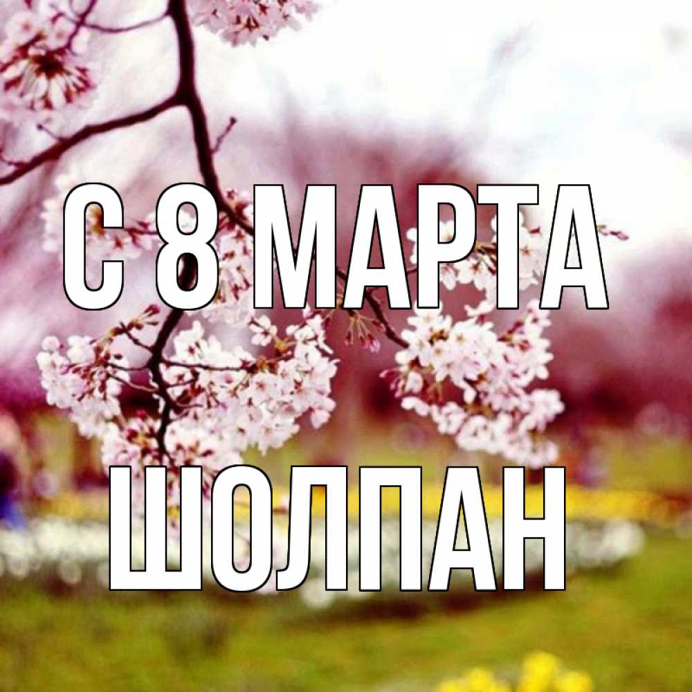 Открытка на каждый день с именем, Шолпан С 8 МАРТА яблоня Прикольная открытка с пожеланием онлайн скачать бесплатно 
