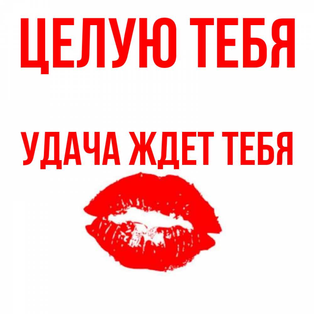 Жди удач