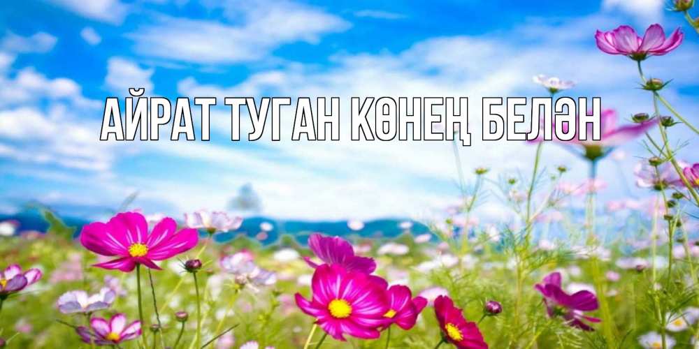 Открытка на каждый день с именем, Айрат-туган-көнең-белән Главная поле цветов Прикольная открытка с пожеланием онлайн скачать бесплатно 