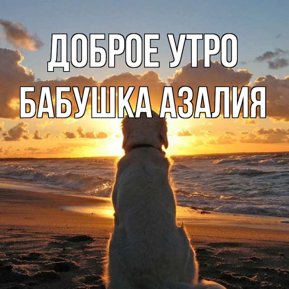 Открытка на каждый день с именем, Бабушка-Азалия Доброе утро восход солнца Прикольная открытка с пожеланием онлайн скачать бесплатно 