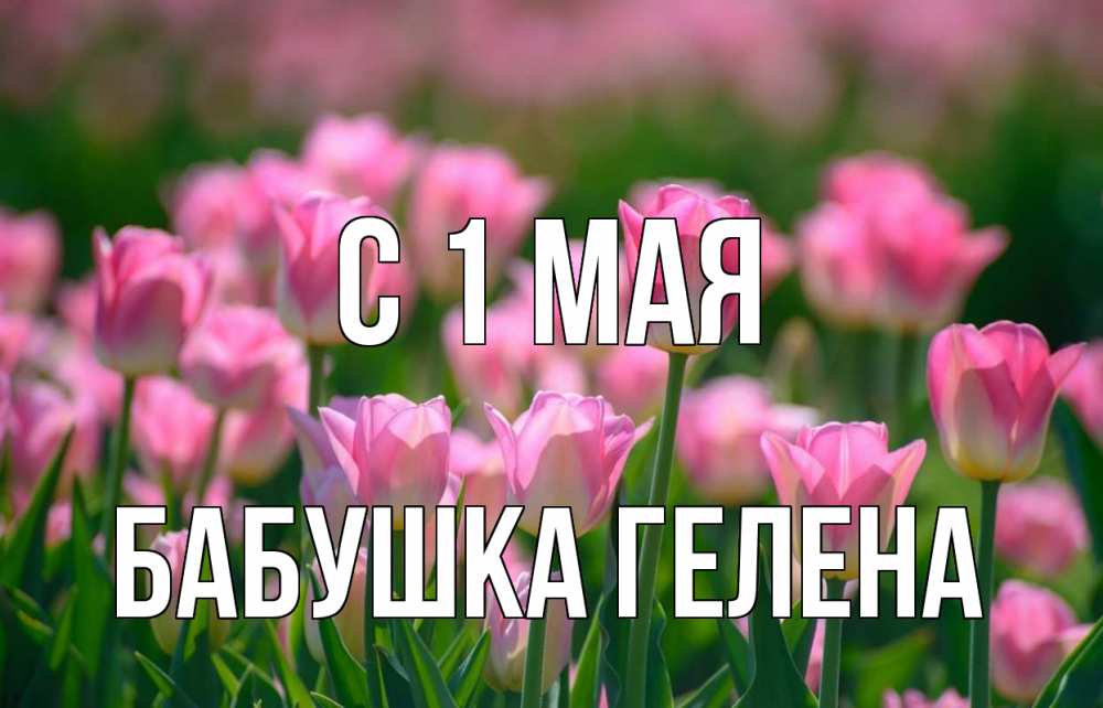 Открытка на каждый день с именем, Бабушка-Гелена С 1 мая С 1 мая Прикольная открытка с пожеланием онлайн скачать бесплатно 