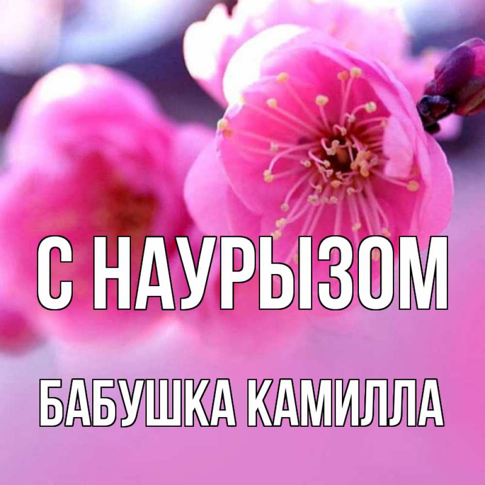 Открытка на каждый день с именем, Бабушка-Камилла С наурызом международный женский день Прикольная открытка с пожеланием онлайн скачать бесплатно 