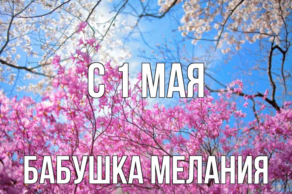 Открытка на каждый день с именем, Бабушка-Мелания С 1 мая С 1 мая Прикольная открытка с пожеланием онлайн скачать бесплатно 