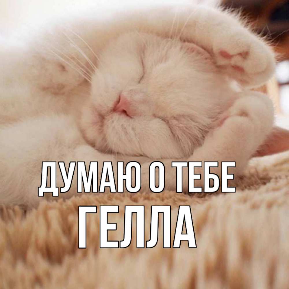 Открытка на каждый день с именем, Гелла Думаю о тебе для любимой девушки милота Прикольная открытка с пожеланием онлайн скачать бесплатно 
