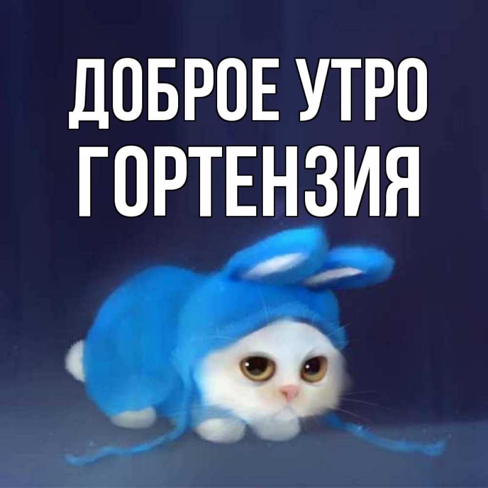 Открытка на каждый день с именем, Гортензия Доброе утро открытки красивые скачать бесплатно Прикольная открытка с пожеланием онлайн скачать бесплатно 
