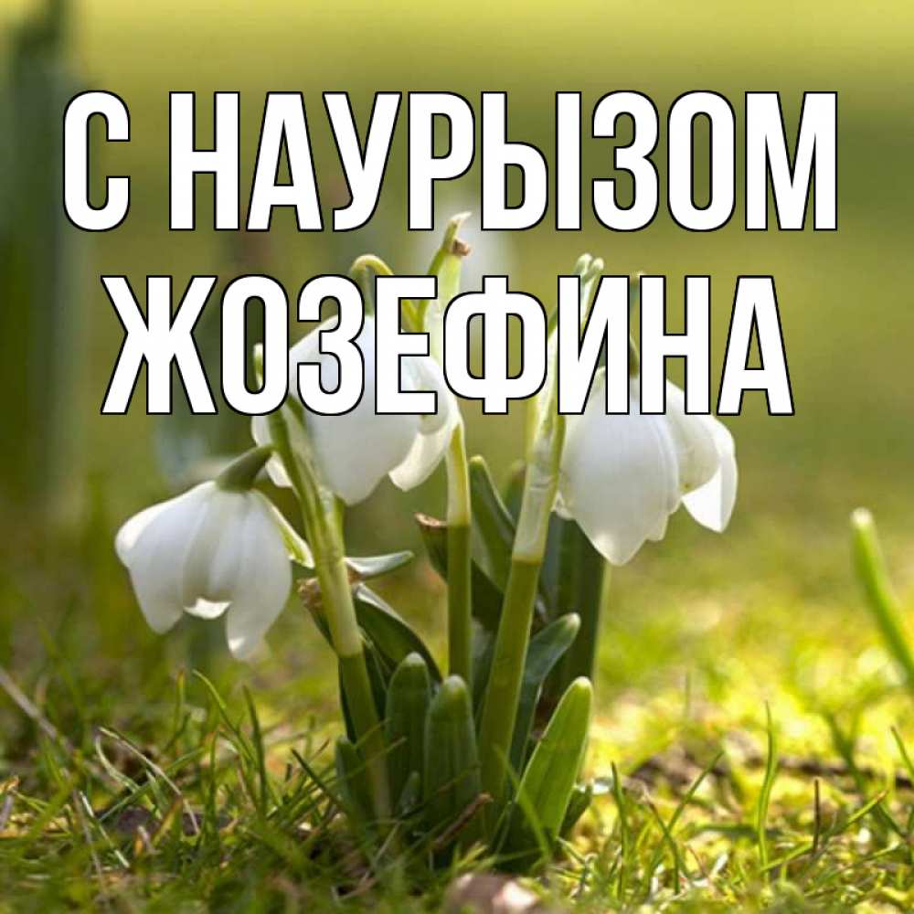 Открытка на каждый день с именем, Жозефина С наурызом ранние цветы 2 Прикольная открытка с пожеланием онлайн скачать бесплатно 