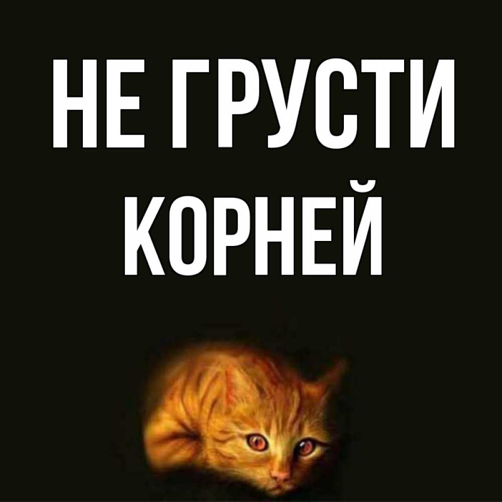 Открытка на каждый день с именем, Корней Не грусти лежащий кот в темноте Прикольная открытка с пожеланием онлайн скачать бесплатно 