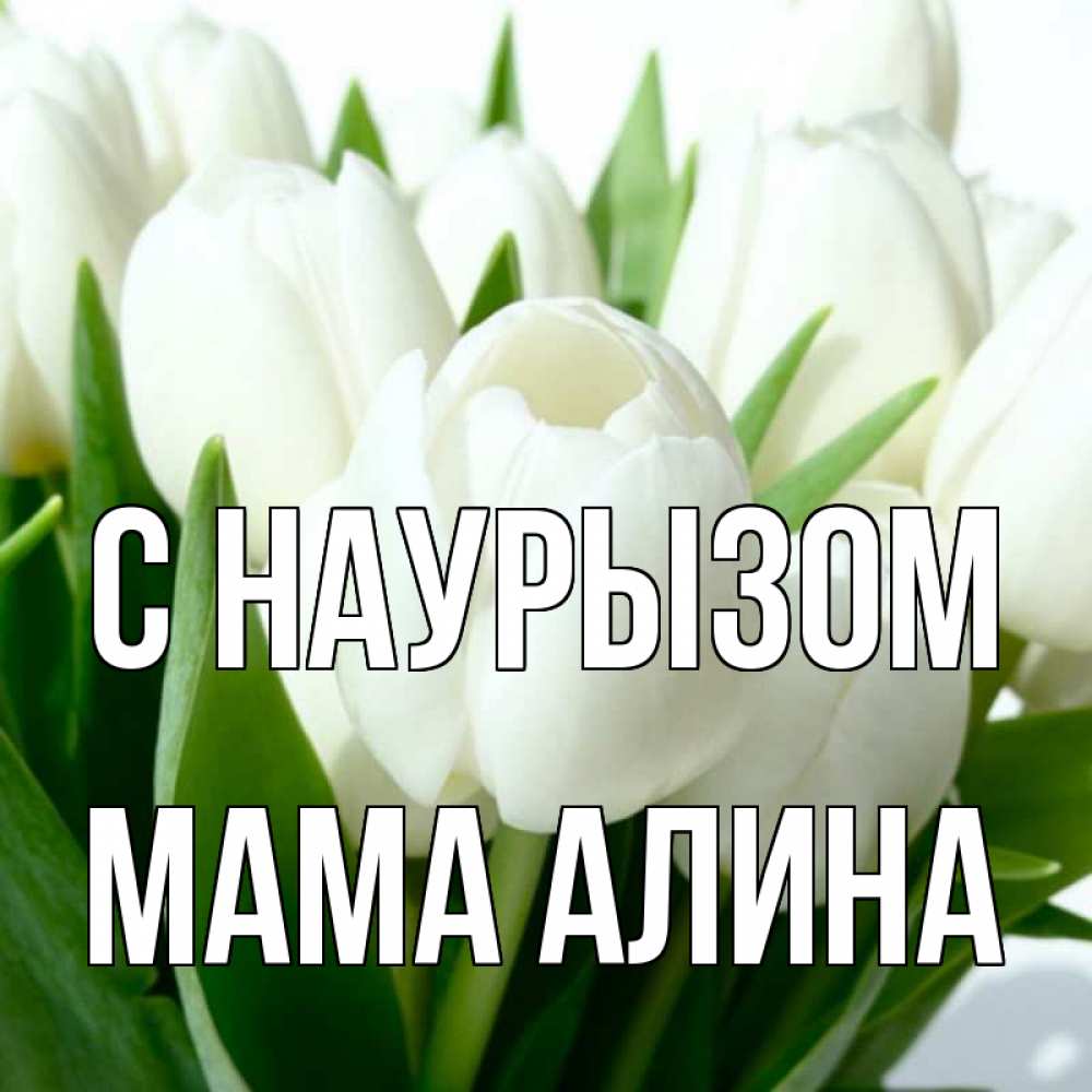 Открытка на каждый день с именем, Мама-Алина С наурызом цветы Прикольная открытка с пожеланием онлайн скачать бесплатно 