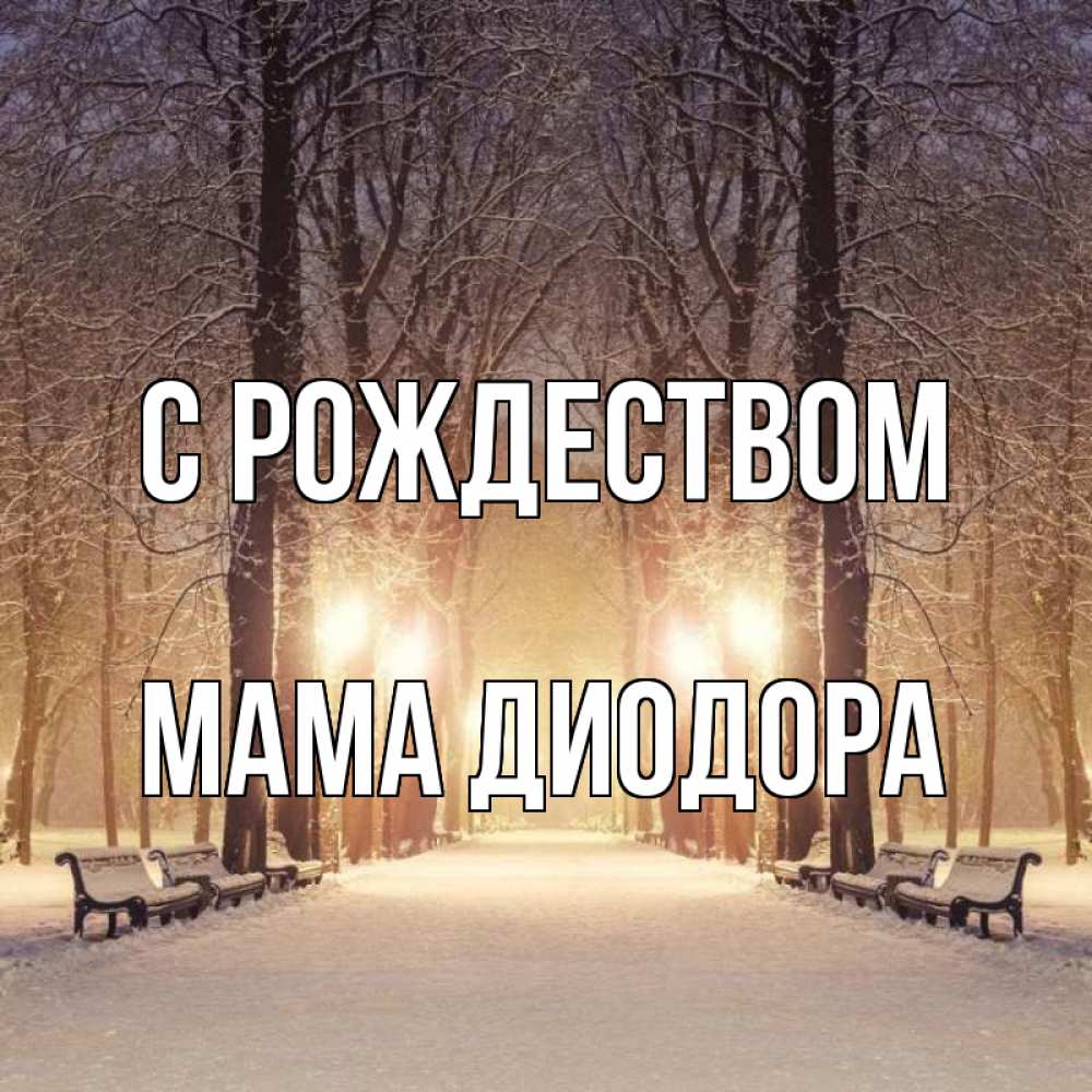 Открытка на каждый день с именем, Мама-Диодора С рождеством зима, парк, фонарь, лес Прикольная открытка с пожеланием онлайн скачать бесплатно 