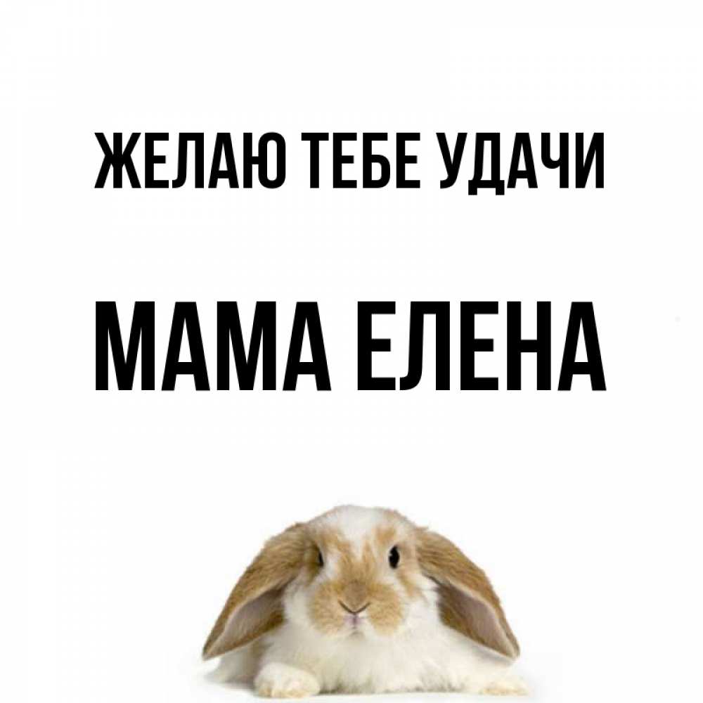 Открытка на каждый день с именем, Мама-Елена Желаю тебе удачи открытки с произвольным текстом который можно вставить в открытку и создать ее самостоятельно бесплатно онлайн Прикольная открытка с пожеланием онлайн скачать бесплатно 