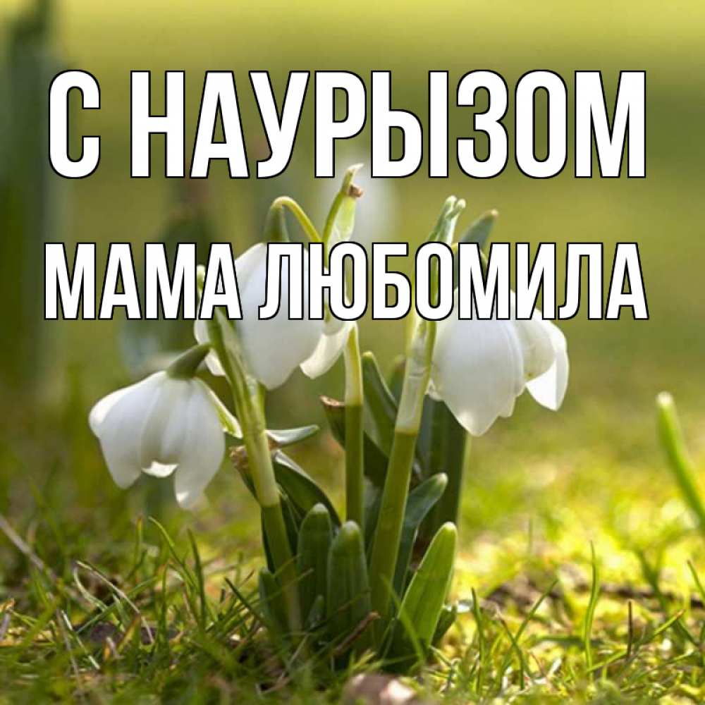 Открытка на каждый день с именем, Мама-Любомила С наурызом ранние цветы 2 Прикольная открытка с пожеланием онлайн скачать бесплатно 