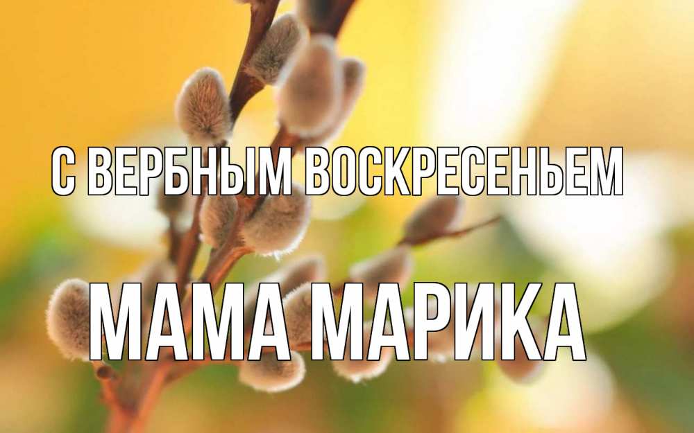 Открытка на каждый день с именем, Мама-Марика С вербным воскресеньем верба Прикольная открытка с пожеланием онлайн скачать бесплатно 