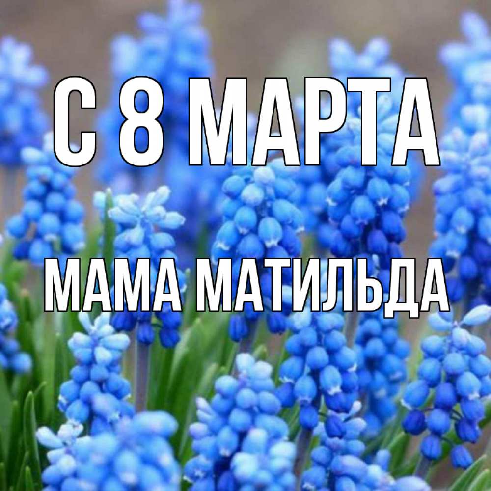 Открытка на каждый день с именем, Мама-Матильда С 8 МАРТА Поздравительная открытка для женщин с цветами на праздничную дату Прикольная открытка с пожеланием онлайн скачать бесплатно 