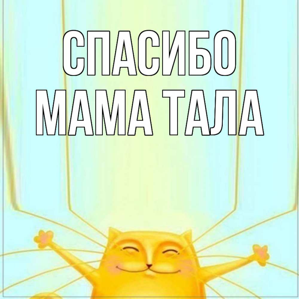 Открытка на каждый день с именем, Мама-Тала Спасибо кот с усами благодарит Прикольная открытка с пожеланием онлайн скачать бесплатно 