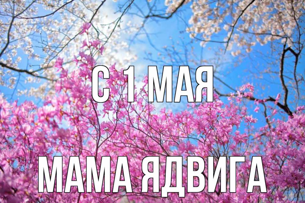 Открытка на каждый день с именем, Мама-Ядвига С 1 мая С 1 мая Прикольная открытка с пожеланием онлайн скачать бесплатно 