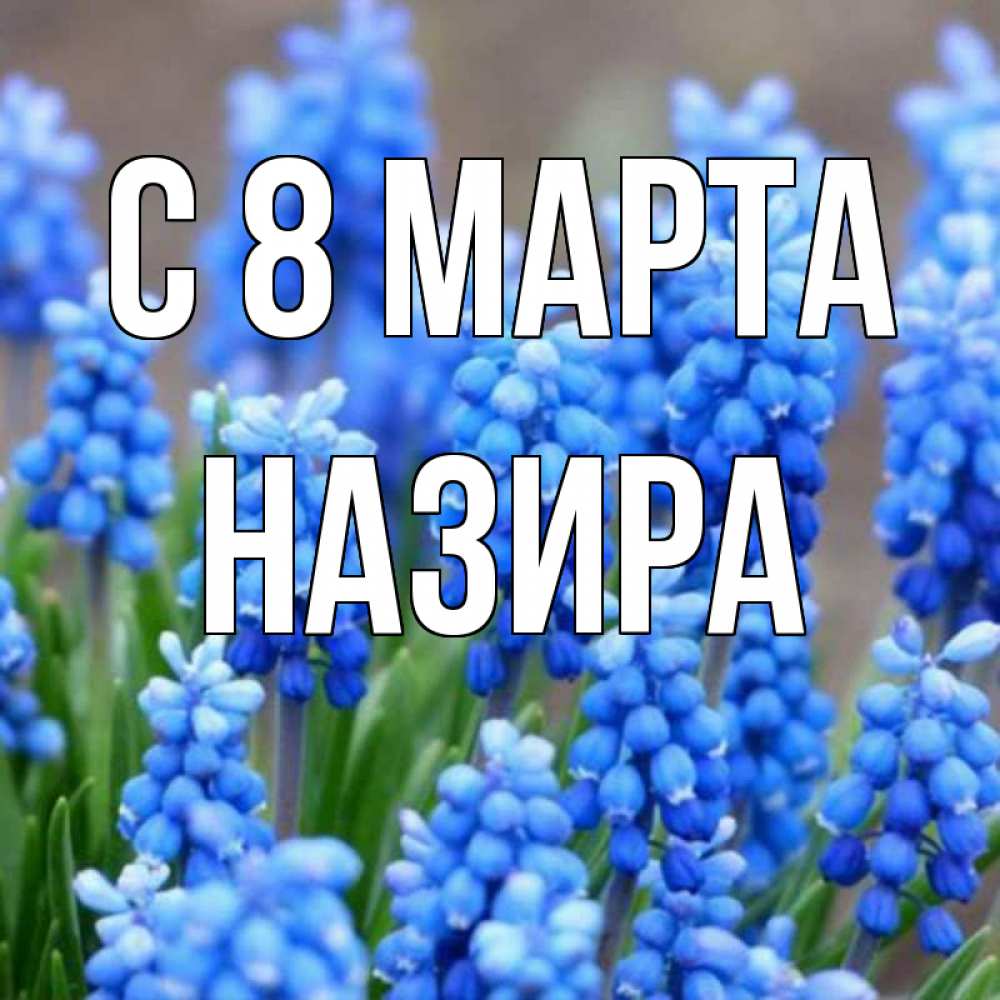 Открытка на каждый день с именем, Назира С 8 МАРТА Поздравительная открытка для женщин с цветами на праздничную дату Прикольная открытка с пожеланием онлайн скачать бесплатно 