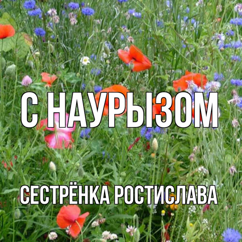 Открытка на каждый день с именем, Сестрёнка-Ростислава С наурызом праздник весны наурыз супер открытка Прикольная открытка с пожеланием онлайн скачать бесплатно 