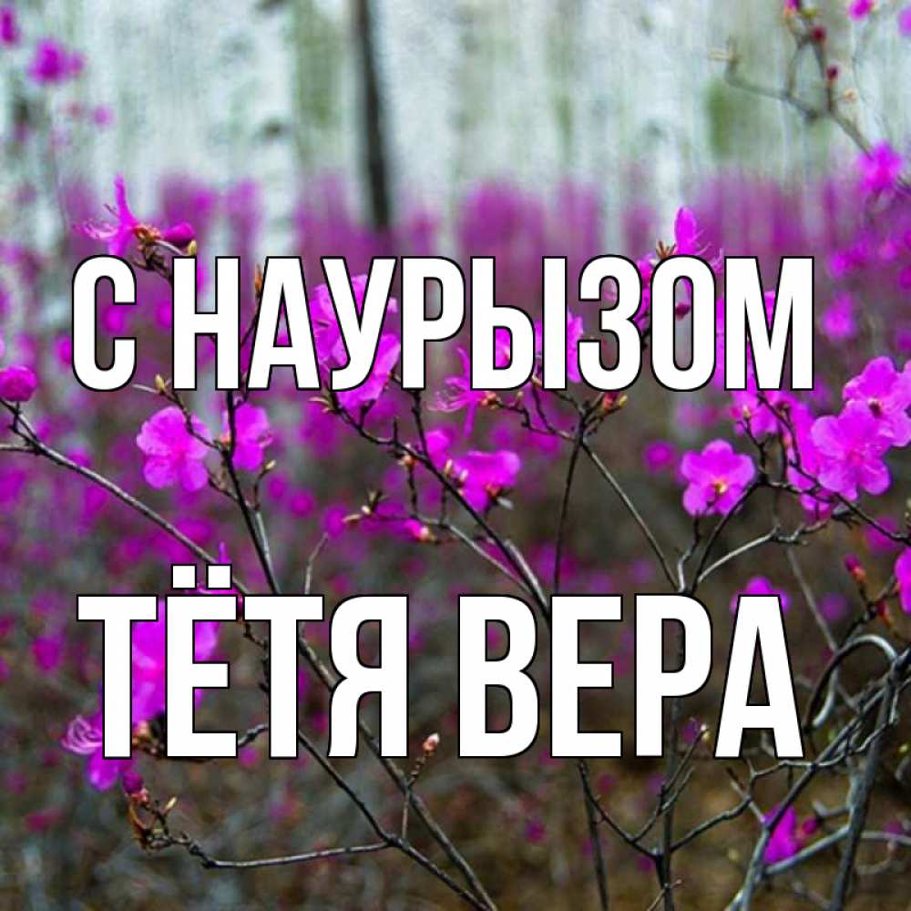 Открытка на каждый день с именем, Тётя-Вера С наурызом дикие цветы Прикольная открытка с пожеланием онлайн скачать бесплатно 