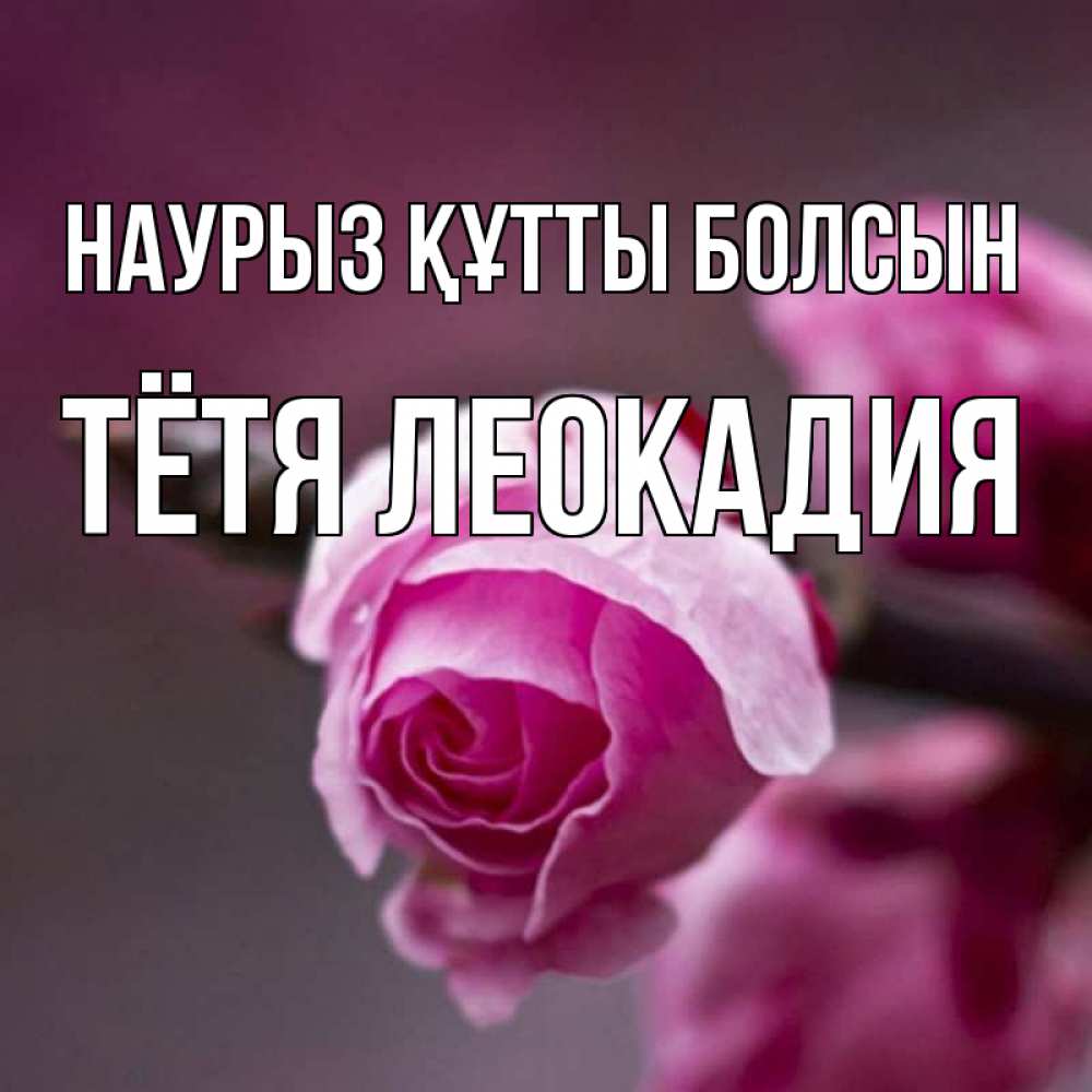 Открытка на каждый день с именем, Тётя-Леокадия Наурыз құтты болсын весна Прикольная открытка с пожеланием онлайн скачать бесплатно 