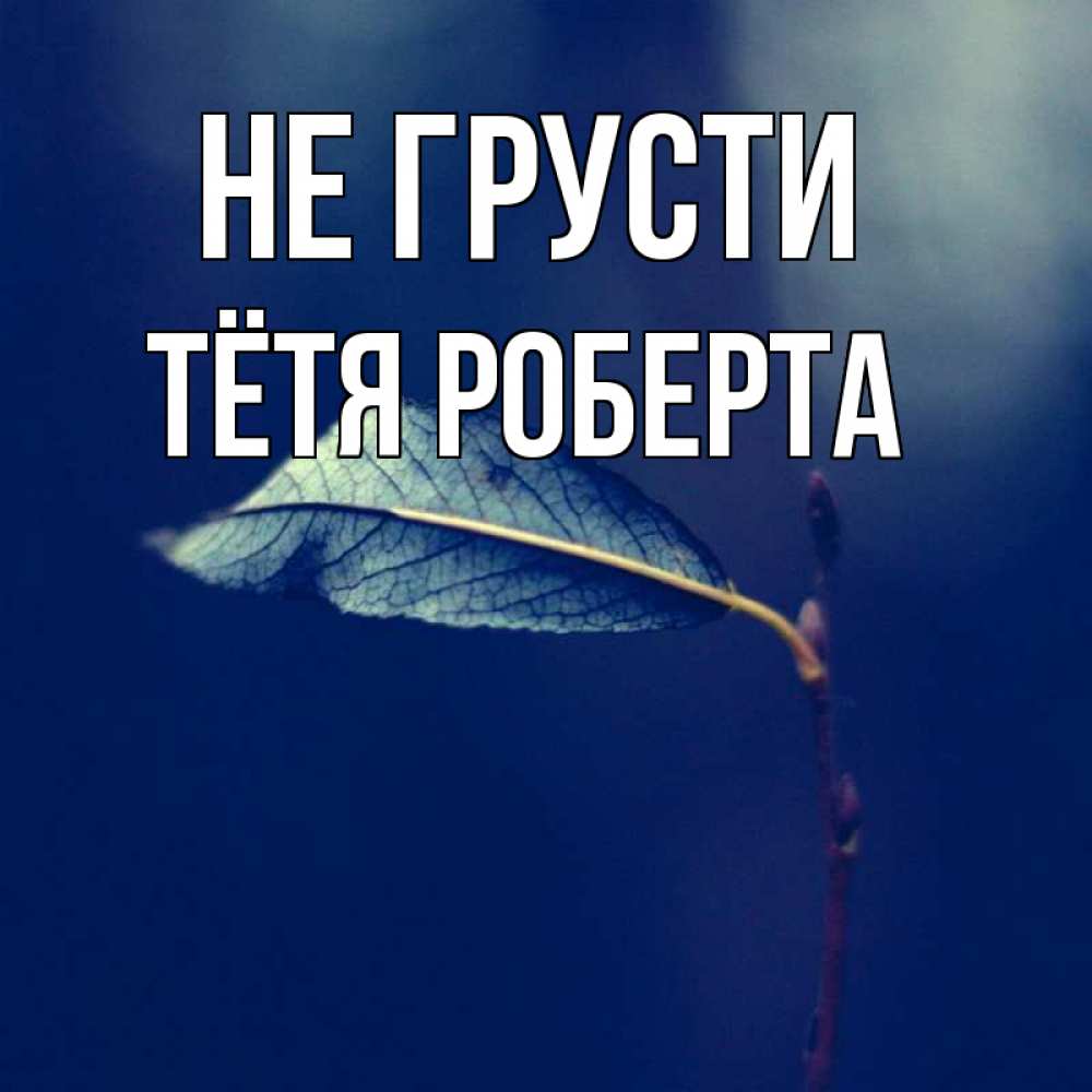 Открытка на каждый день с именем, Тётя-Роберта Не грусти растение Прикольная открытка с пожеланием онлайн скачать бесплатно 