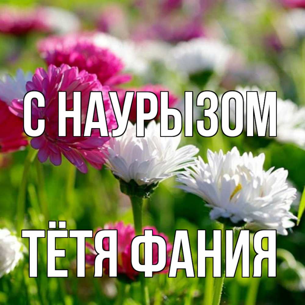 Открытка на каждый день с именем, Тётя-Фания С наурызом праздник весны наурыз красота Прикольная открытка с пожеланием онлайн скачать бесплатно 