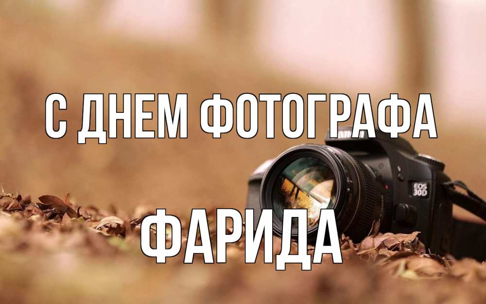 Открытка на каждый день с именем, Фарида С днем фотографа с днем фотографа Прикольная открытка с пожеланием онлайн скачать бесплатно 