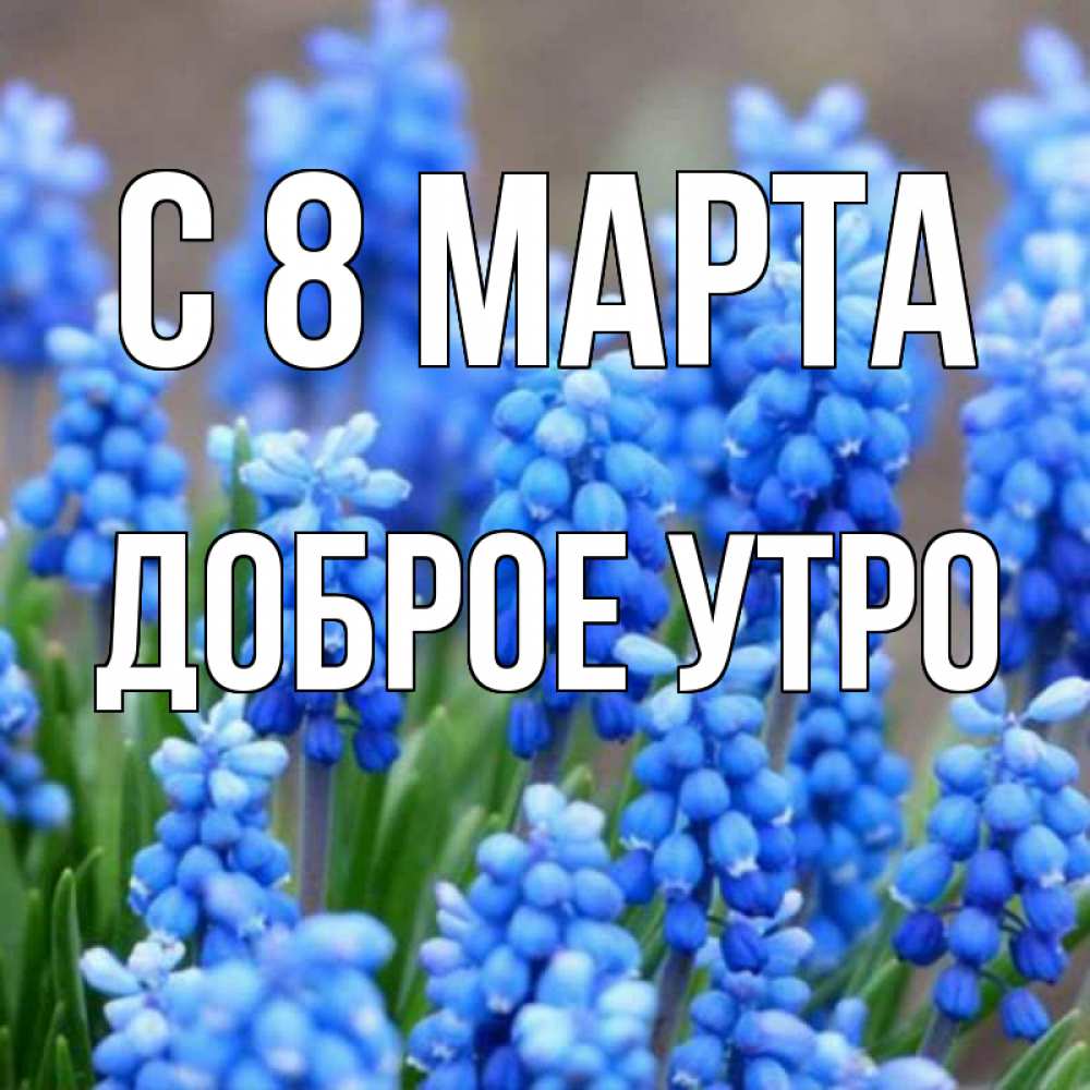Открытка на каждый день с именем, доброе-утро С 8 марта Поздравительная открытка для женщин с цветами на праздничную дату Прикольная открытка с пожеланием онлайн скачать бесплатно 