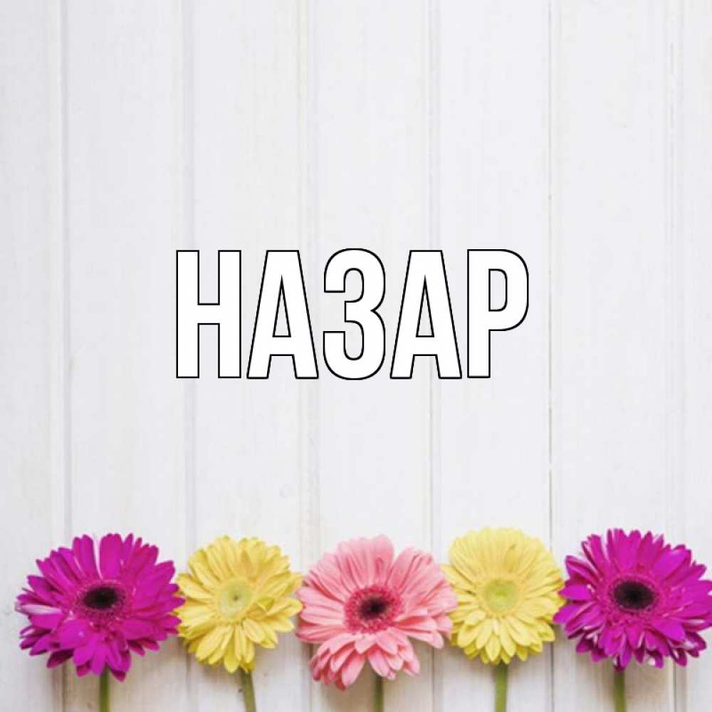 Открытка на каждый день с именем, Назар Главная красный желтый и розовый цветок Прикольная открытка с пожеланием онлайн скачать бесплатно 