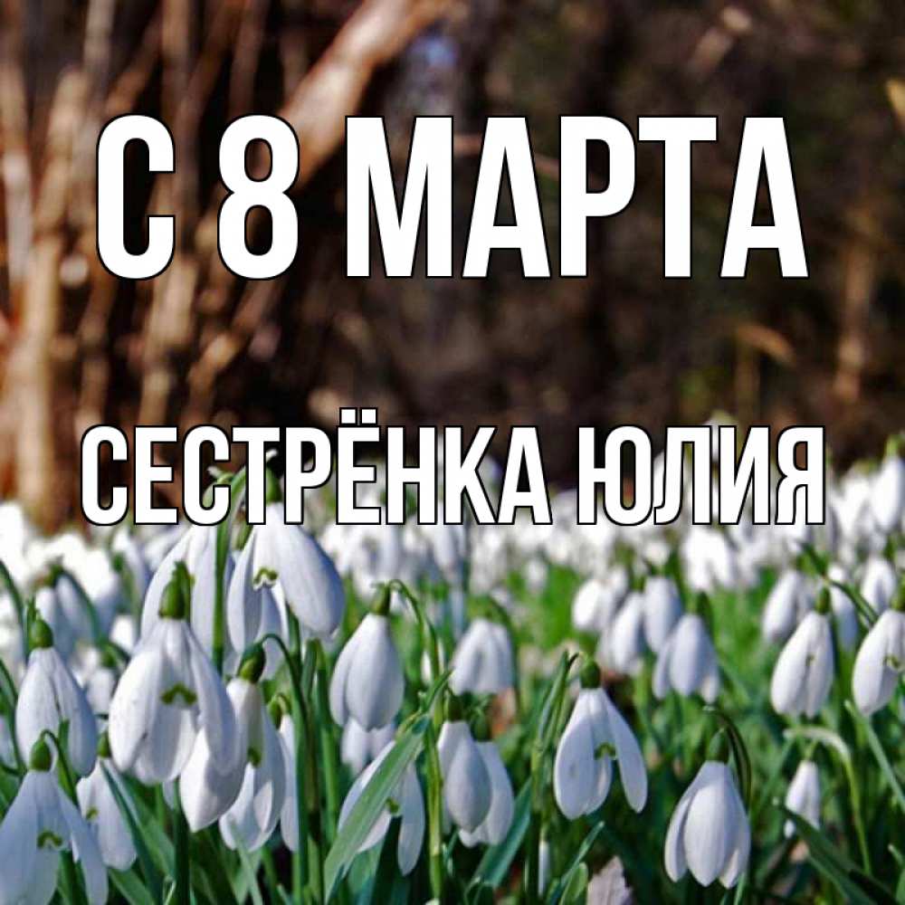 Открытка на каждый день с именем, Сестрёнка-Юлия С 8 марта с подснежниками 1 Прикольная открытка с пожеланием онлайн скачать бесплатно 