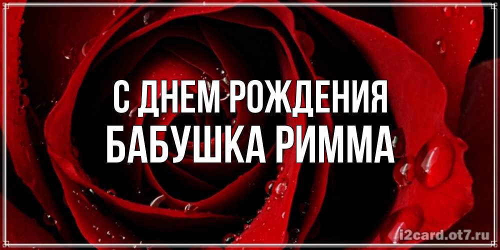 Открытка на каждый день с именем, Бабушка-Римма С днем рождения крупная бордовая роза Прикольная открытка с пожеланием онлайн скачать бесплатно 